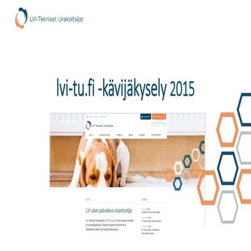 LVI-TU kävijäkysely 2015