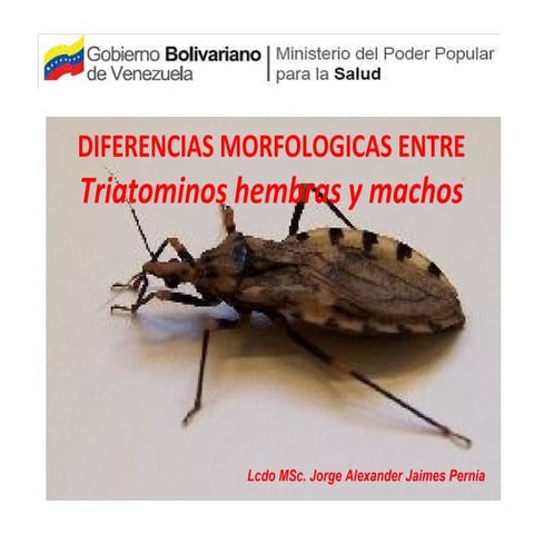 Triatominos hematofagos y fitofagos | PPT