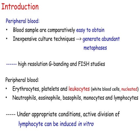 Standard Lymphocyte Culture 