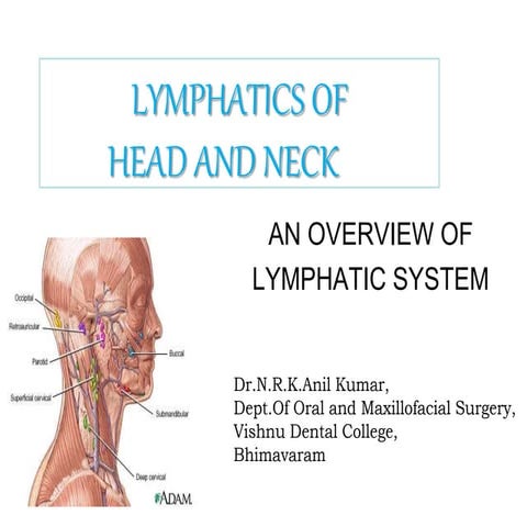 Lymph and lymphatic system