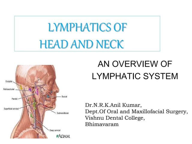 Lymph and lymphatic system
