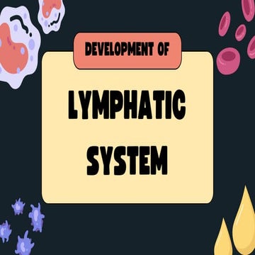 Lymphatic System Development Ppt Presentation Pdf