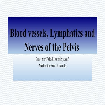 Lymphatics and blood supply of the Pelvis.pptx
