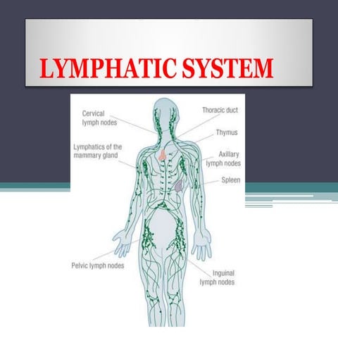 Pathophysiology_of_the_Lymphatic_System (1).pptx