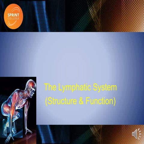 Lymphatic system
