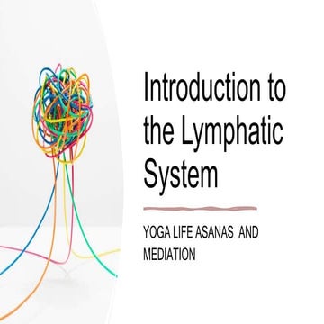 Lymphatic system