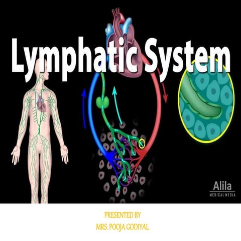 Lymphatic system