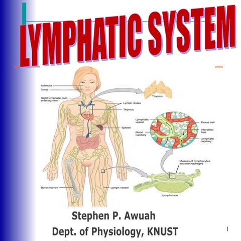 Lymphatic System- (Allied Health Sciences)- Group 1.ppt