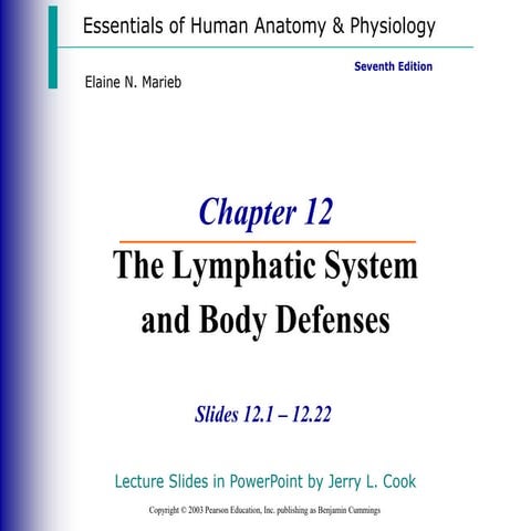 Lymphatic System And Immunity 1 Ppt Ppt