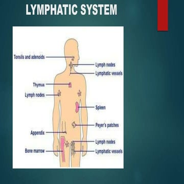 medical terminologyLymphatic and Immune systems.pptx