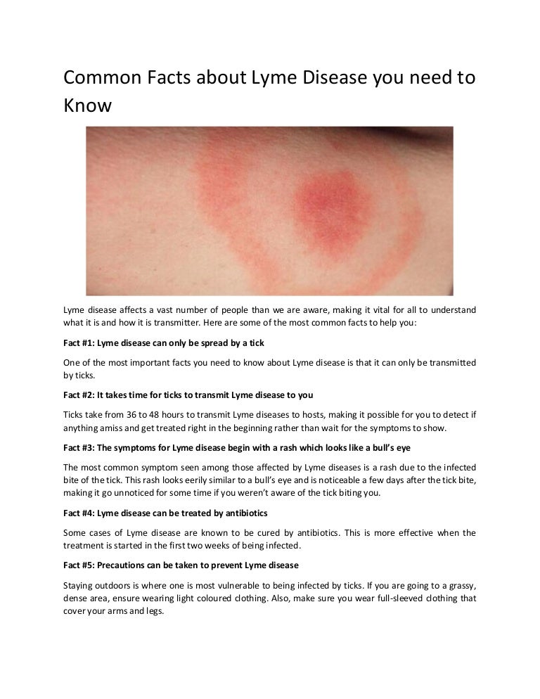 Lymphatic Therapy Services Blog Common Facts about Lyme Diseases you