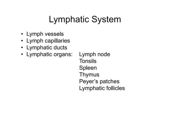 Lymphatic System Notes | PPT