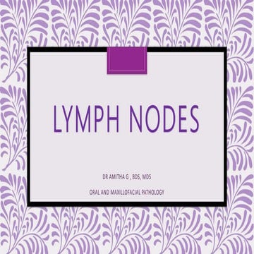 Lymph Nodes