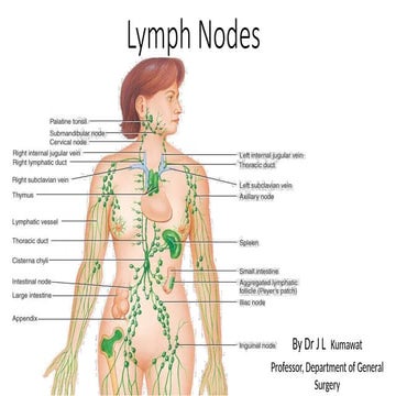 Lymph Nodes general surgery notes srb.pptx