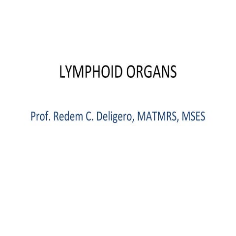 Lymphoid organs