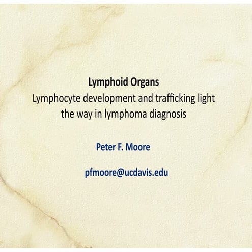 Lymphoid organs trafficking lymphoma 2021.pdf