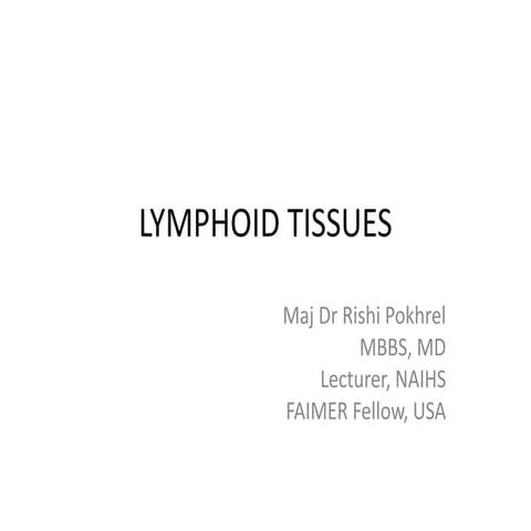 Lymphoid tissue