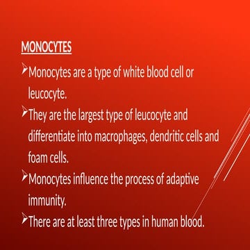 lymphopoiesis (1).phhhhhhhhhhhhhhhhhhhhhhhhhhptx