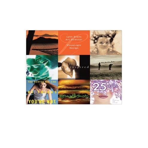 Lynn Evans.Visua Logic.June.09