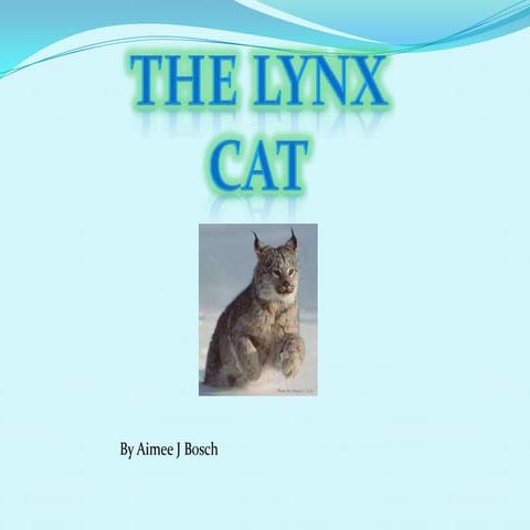 The Lynx | PPTX