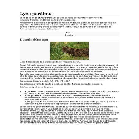 linces ibericos animales en peligro de extincion