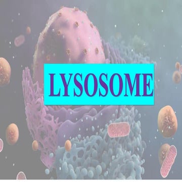 LYSOSOME.pdf