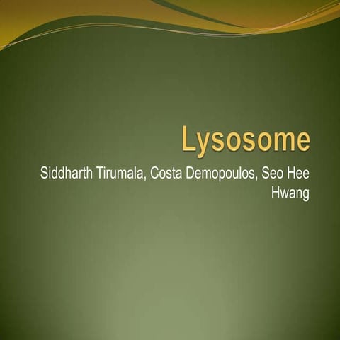 Lysosome powerpoint