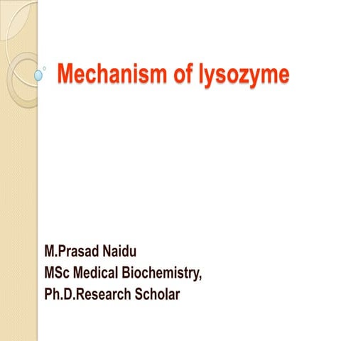 Lysosome mechanism