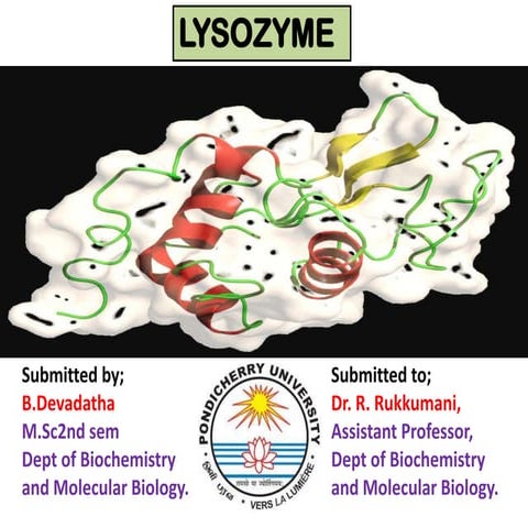 Lysozyme by devadatha