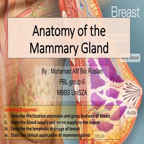 Anatomy of the mammary gland MBBS