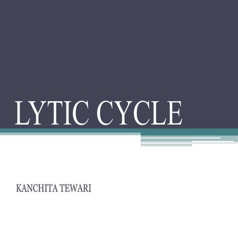 Lytic cycle