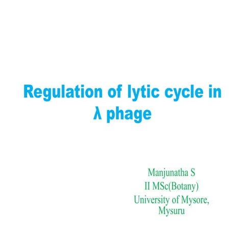 Lytic cycle