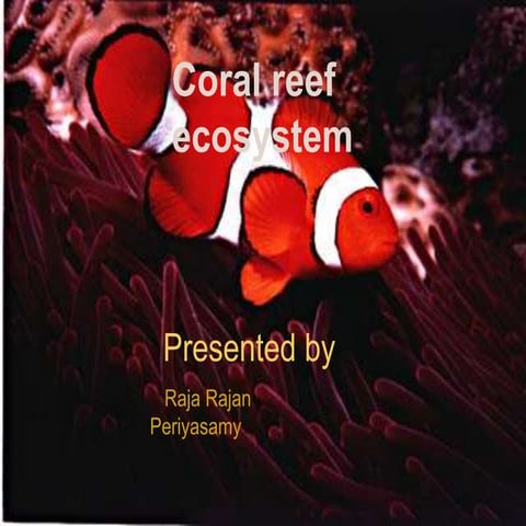 coral reef ecosystem (1554655)