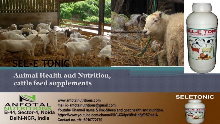 Animal Health and Nutrition