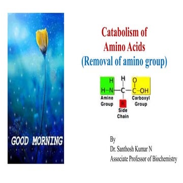 M-2- General Reactions of amino acids.pptx