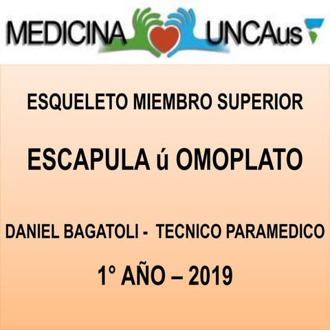M.s. 2   escapula u omoplato