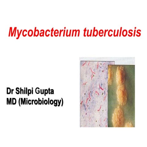 M. tuberculosis ppt lecture