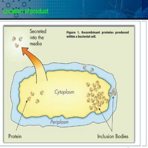 cell disruption technologies for bioprocess
