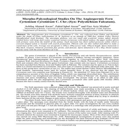 Morpho-Palynological Studies On The Angiospermic Fern Cyrtomium Cyrotideum C....