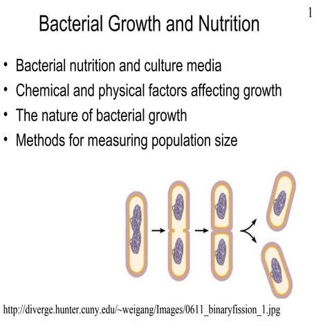 Bacterial Growth and Nutrition