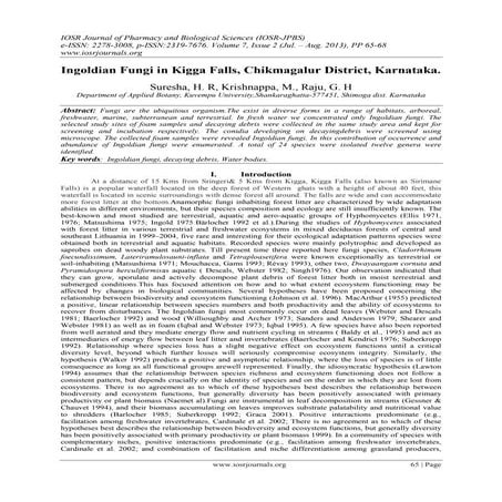 Ingoldian Fungi in Kigga Falls, Chikmagalur District, Karnataka