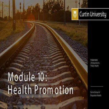 PUBH1000 Slides - Module 10: Health Promotion | PDF