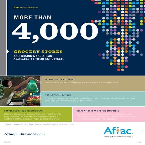 Some Aflacts for Business | PDF