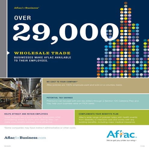 Some Aflacts for Business | PDF