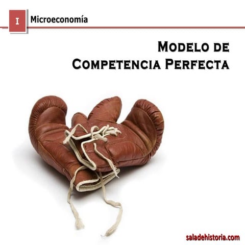 Modelo de Competencia Perfecta
