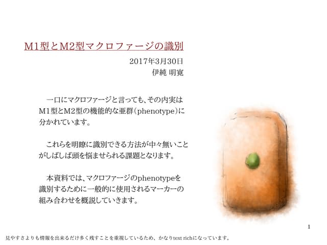 M1/M2型マクロファージの識別マーカー | PDF