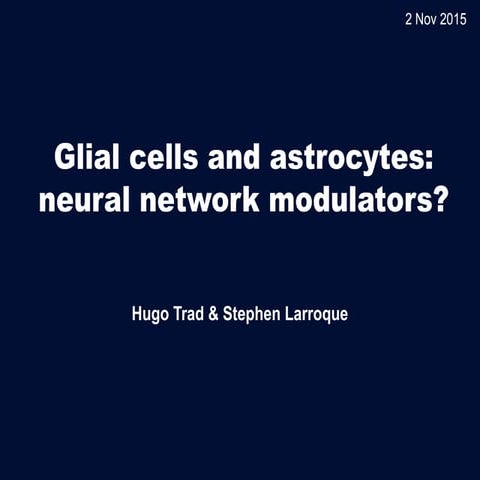 Glial cells and astrocytes: neural networks modulators? | PDF