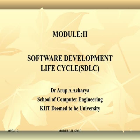 Software Development Life Cycle
