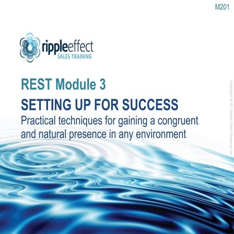 M201 mc setting up for success_summary