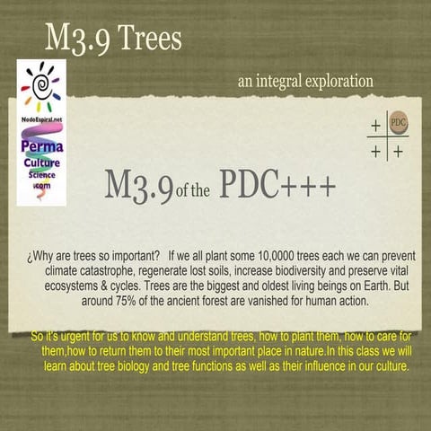 PDC+++ Module 3 Class 9 Trees I